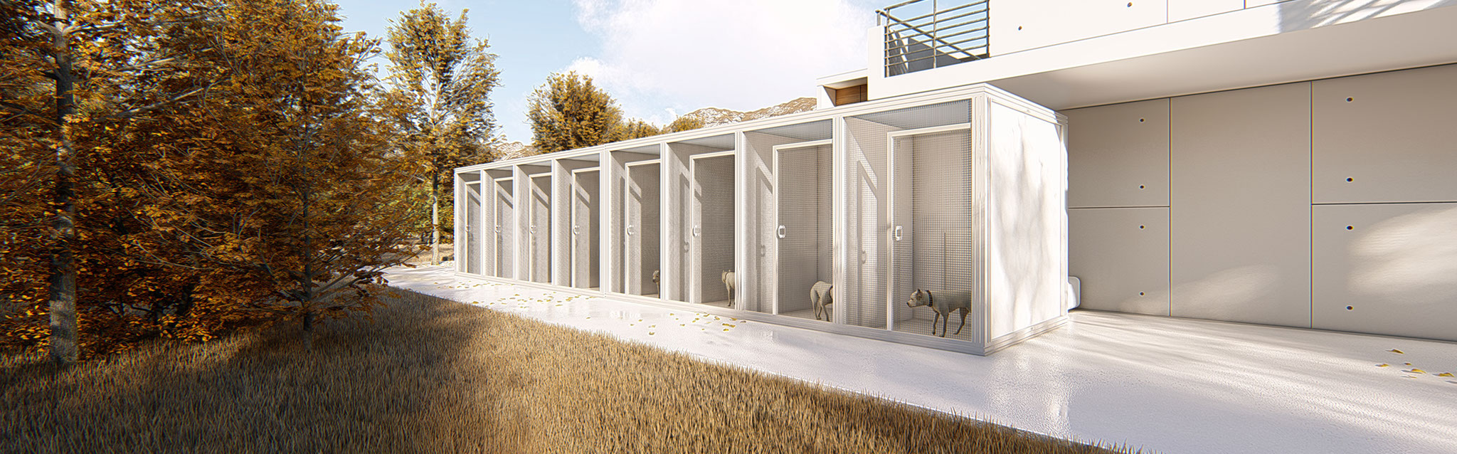 Dog hotel